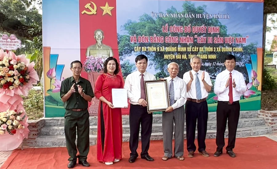 Quảng[-]Ninh:[-]Hai[-]cây[-]đầu[-]tiên[-]của[-]huyện[-]Hải[-]Hà[-]được[-]công[-]nhận[-]Cây[-]Di[-]sản[-]Việt[-]Nam